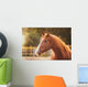 Horse Paddock Outdoors Wall Decal