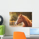 Horse Paddock Outdoors Wall Decal