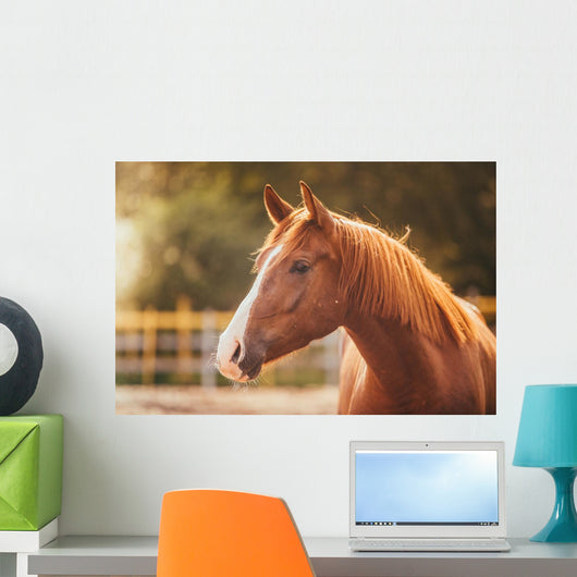 Horse Paddock Outdoors Wall Decal