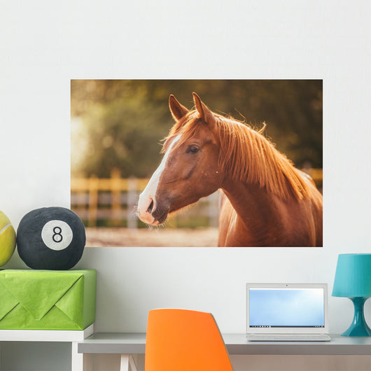 Horse Paddock Outdoors Wall Decal