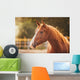 Horse Paddock Outdoors Wall Decal