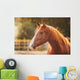 Horse Paddock Outdoors Wall Decal