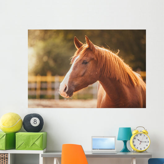 Horse Paddock Outdoors Wall Decal