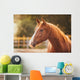 Horse Paddock Outdoors Wall Decal