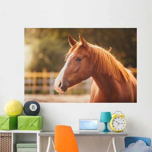 Horse Paddock Outdoors Wall Decal
