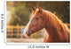 Horse Paddock Outdoors Wall Decal