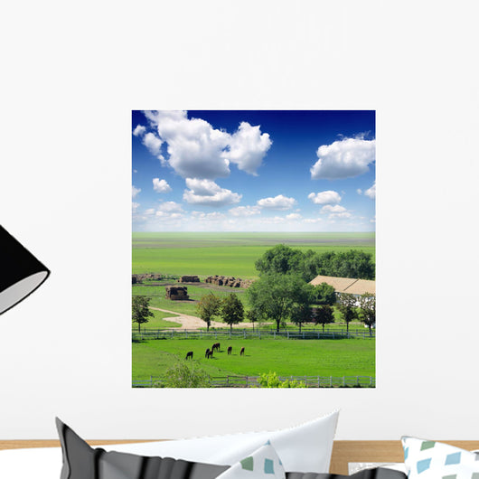 paddock Wall Mural