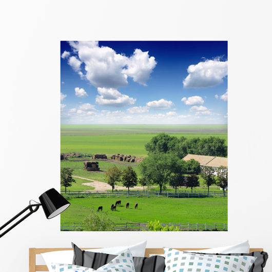 paddock Wall Mural