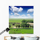 paddock Wall Mural