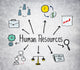 Human Resources Symbols Concrete Wall Decal