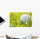 Golf ball on grass with water drops Wall Mural