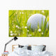 Golf ball on grass with water drops Wall Mural