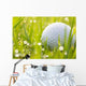 Golf ball on grass with water drops Wall Mural