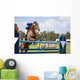 Equestrian Rider Jump Wall Mural