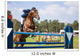 Equestrian Rider Jump Wall Mural