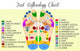 Foot Reflexology Chart Wall Decal