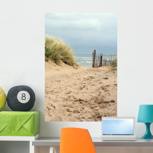 Sandy Path to the Beach Wall Mural