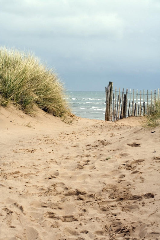 Sandy Path To The Beach Wall Decal