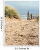 Sandy Path to the Beach Wall Mural