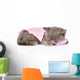 Cute Baby Kitten Sleeping on Pillow. Isolated on White Backgroun Wall Decal