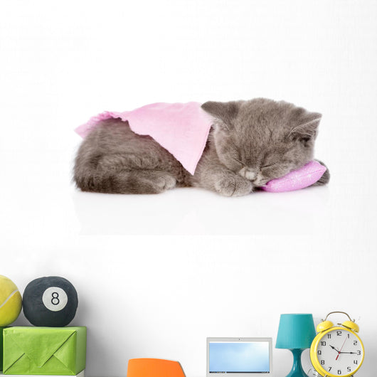 Cute Baby Kitten Sleeping on Pillow. Isolated on White Backgroun Wall Decal