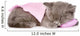 Cute Baby Kitten Sleeping on Pillow. Isolated on White Backgroun Wall Decal