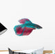 Siamese Fighting Fish White Wall Decal