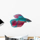 Siamese Fighting Fish White Wall Decal