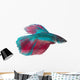 Siamese Fighting Fish White Wall Decal
