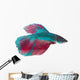 Siamese Fighting Fish White Wall Decal