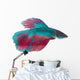 Siamese Fighting Fish White Wall Decal