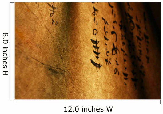 Japanese Writing Wall Mural