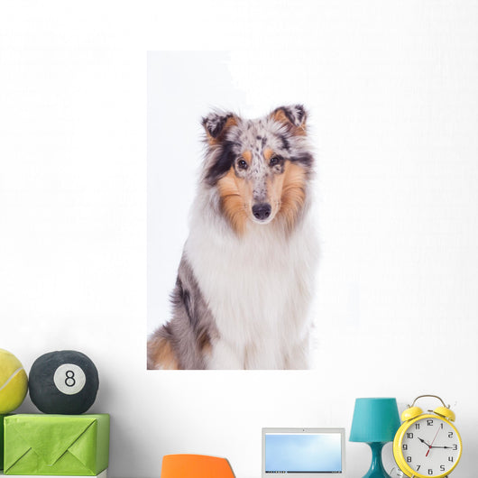 Rough Collie Dog Wall Decal