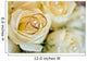 Wedding Rings Close-up Wall Decal