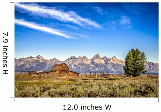 Grand Teton Mountain Wall Mural