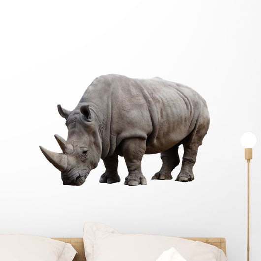 Rhino Wall Decal