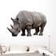 Rhino Wall Decal