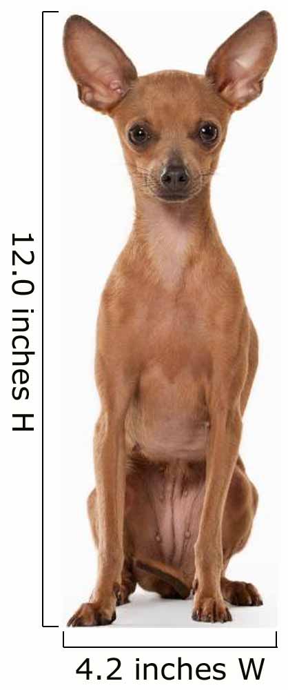 Russian Toy Terrier Puppy Wall Decal