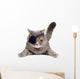 Pirate Cat Wall Decal