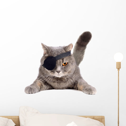 Pirate cat Wall Decal
