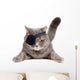Pirate cat Wall Decal