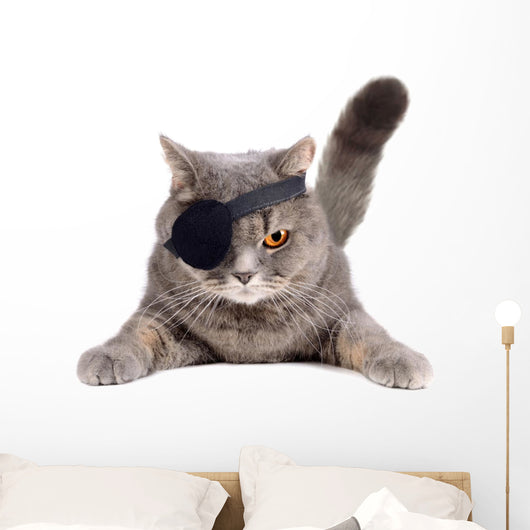 Pirate cat Wall Decal
