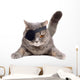 Pirate cat Wall Decal