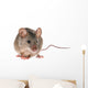 Field Mouse Wall Decal