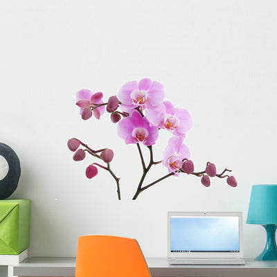 Violet Orchid Flower Wall Decal shown on a wall