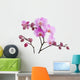 Violet Orchid Flower Wall Decal