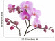 Violet Orchid Flower Wall Decal