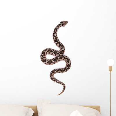 Viper Snake Wall Decal shown on a wall