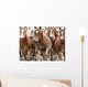 Haflinger Horses Wall Mural