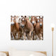 Haflinger Horses Wall Mural